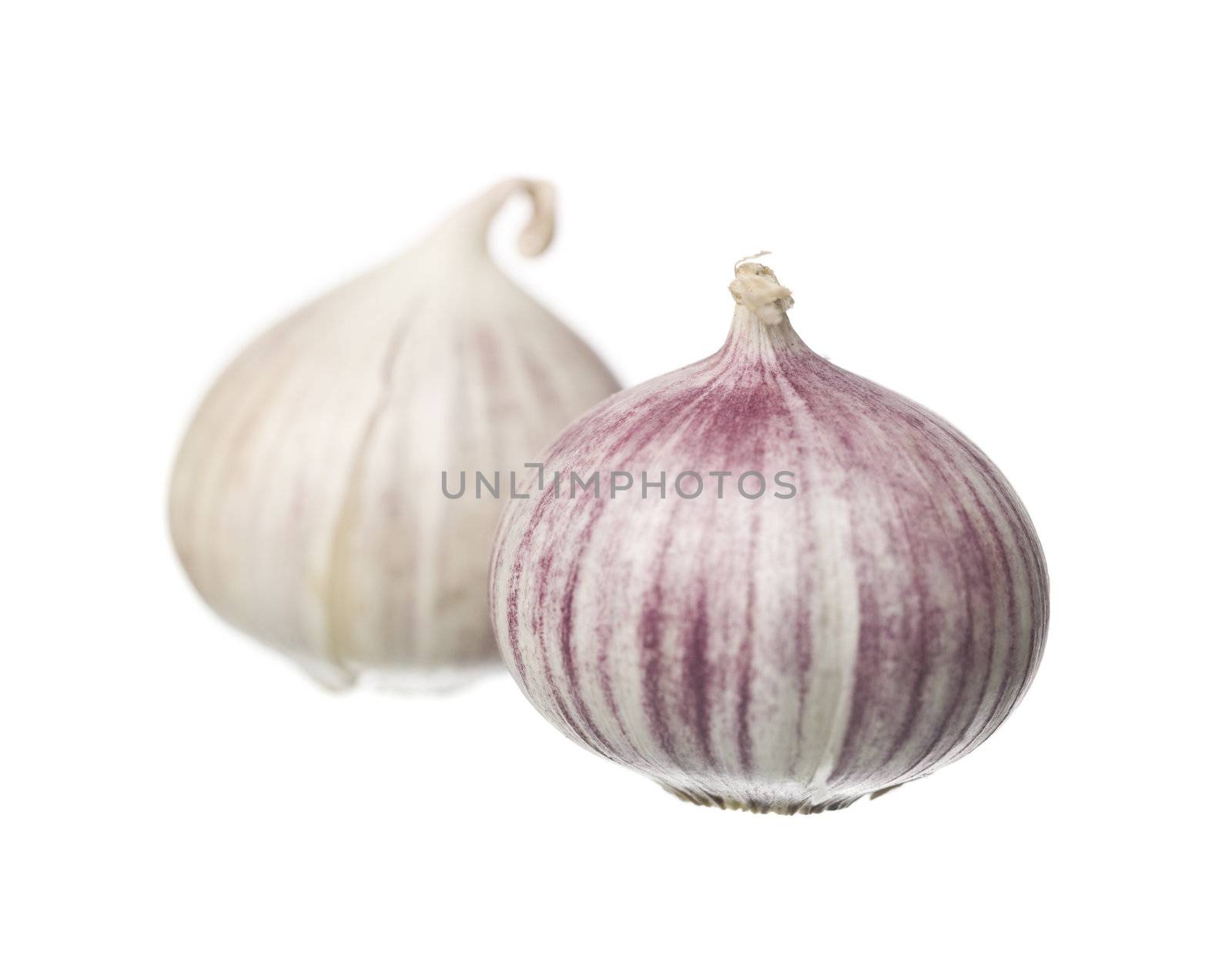 Garlic by gemenacom