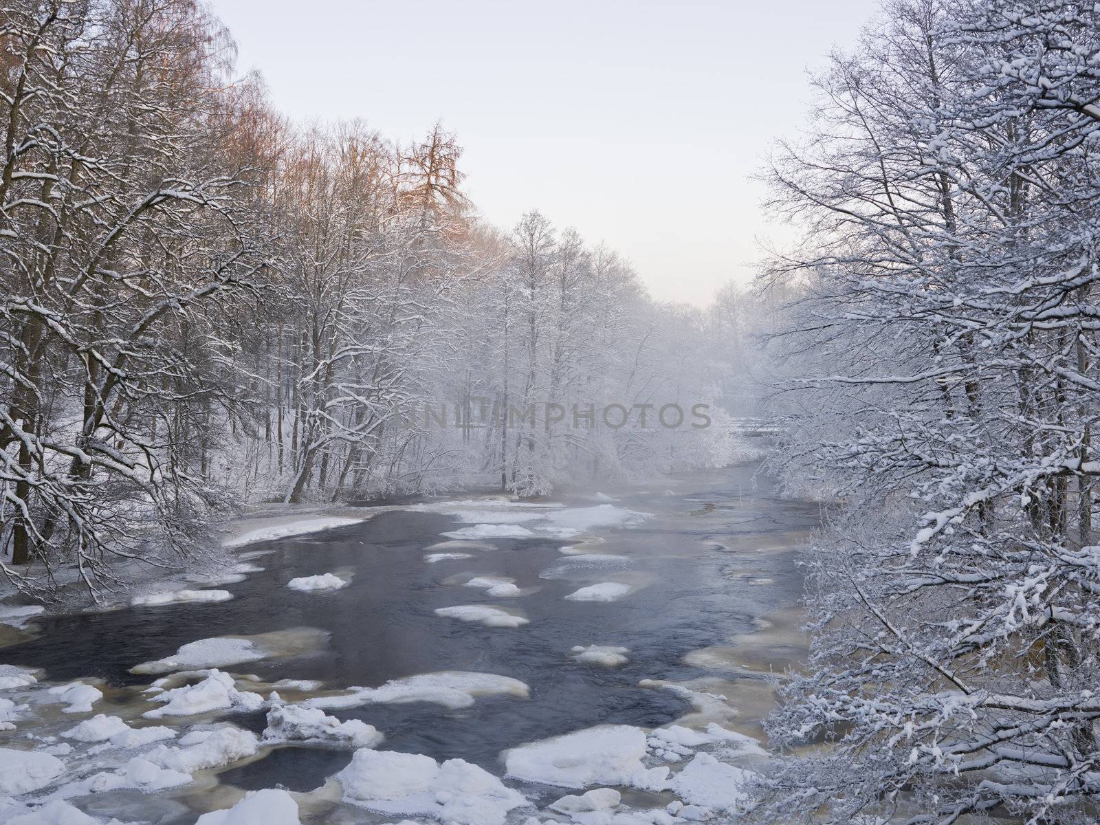 Winter Landscape by gemenacom