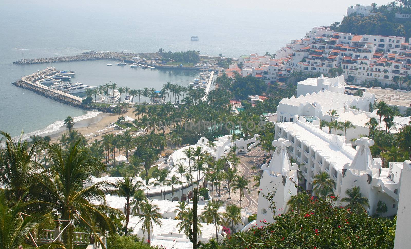 Tropical hotel resort