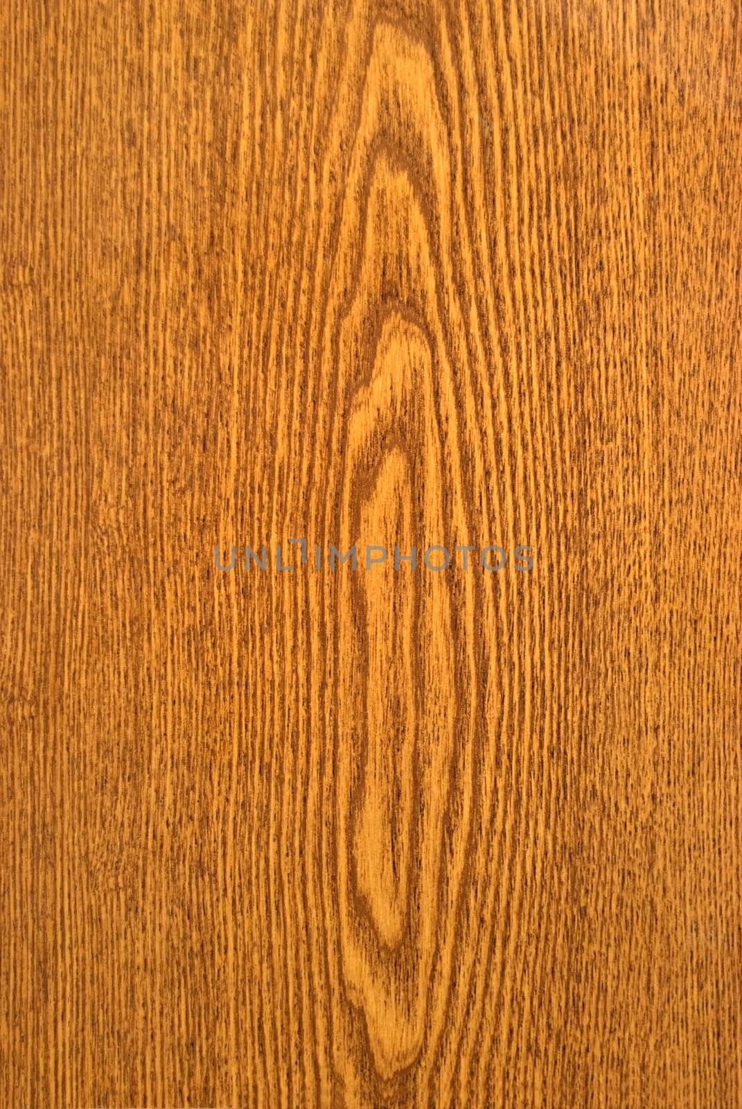 The structure of wood is photographed close up