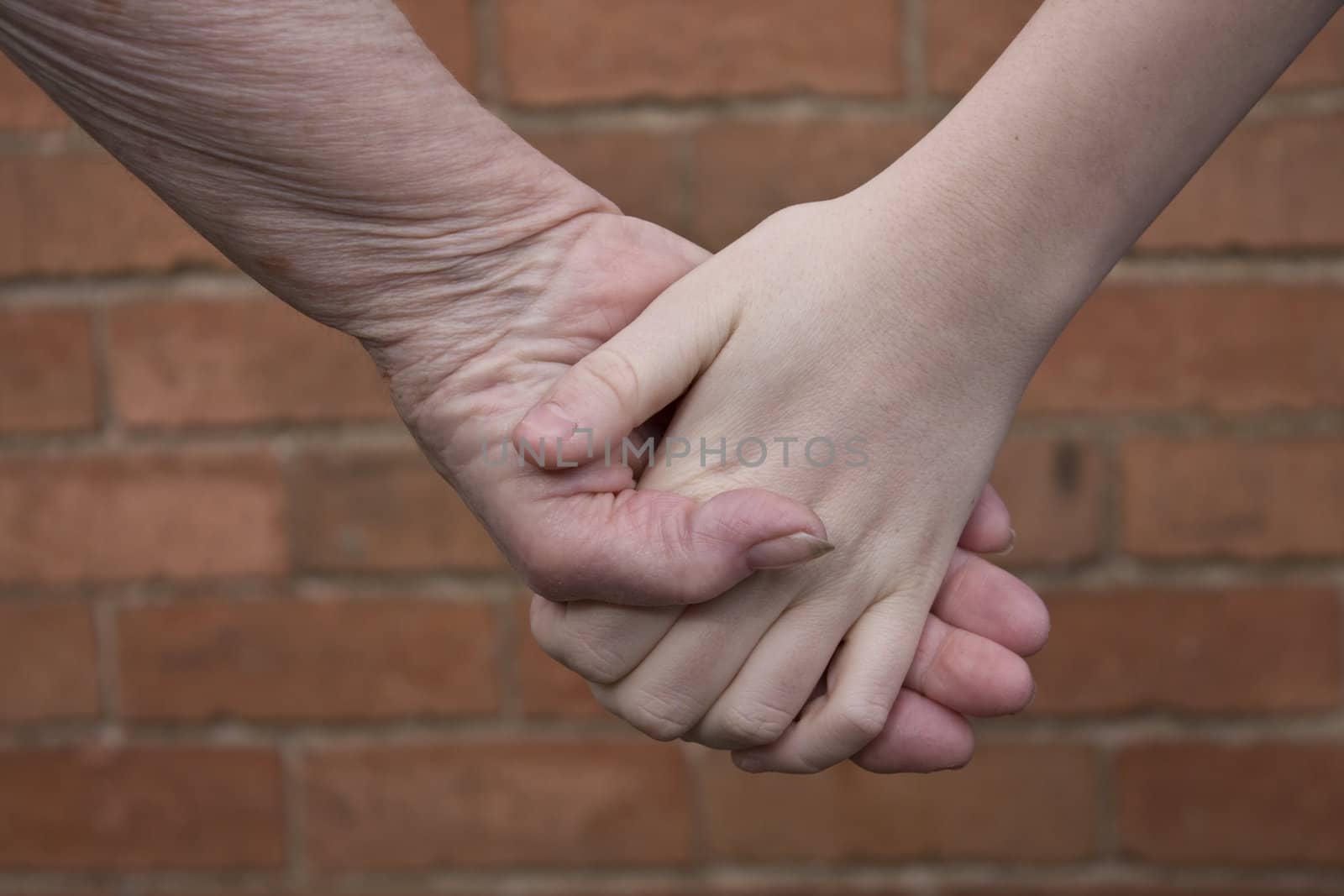 Grandaughter and Grandmother holding hands.