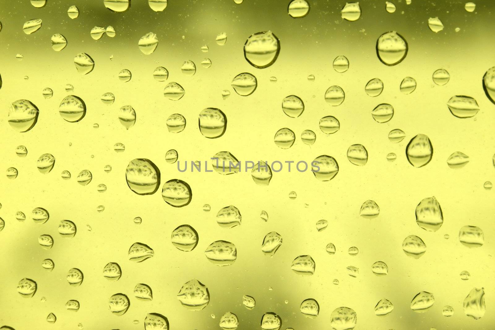 rain drops on glass by Mikko