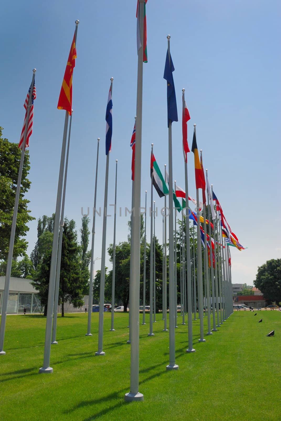 national flags of  international meeting. 