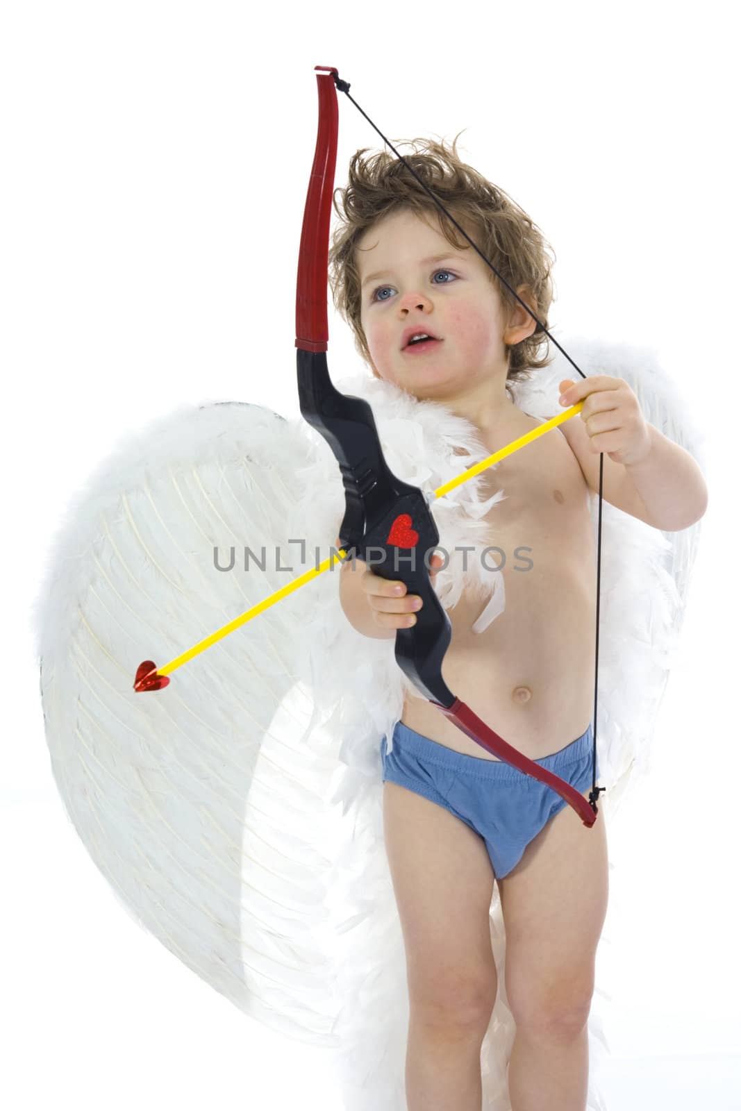 amur keeps bow with dart on isolated background