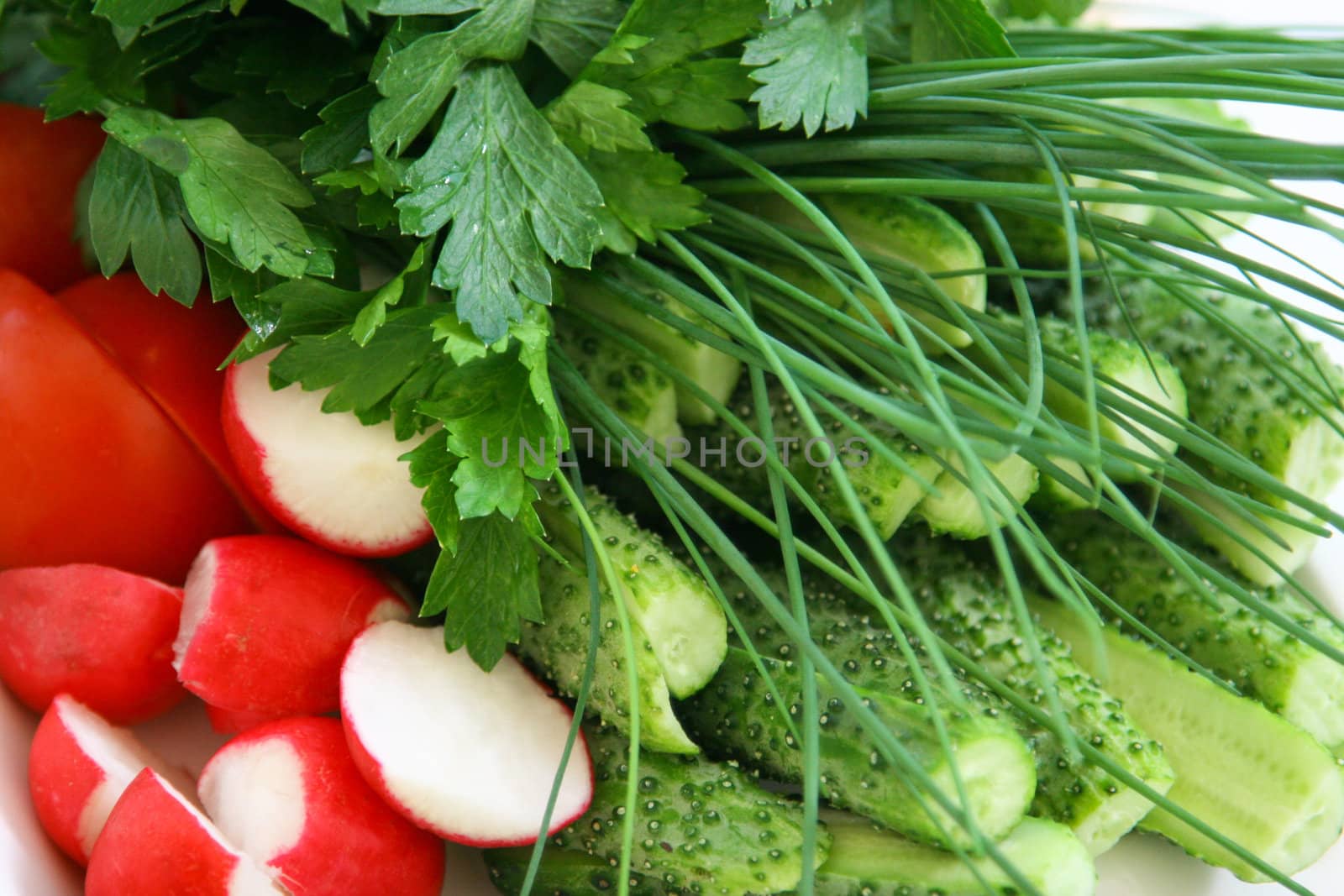 Cucumber, green onions, parsley, greens, vegetables, radish