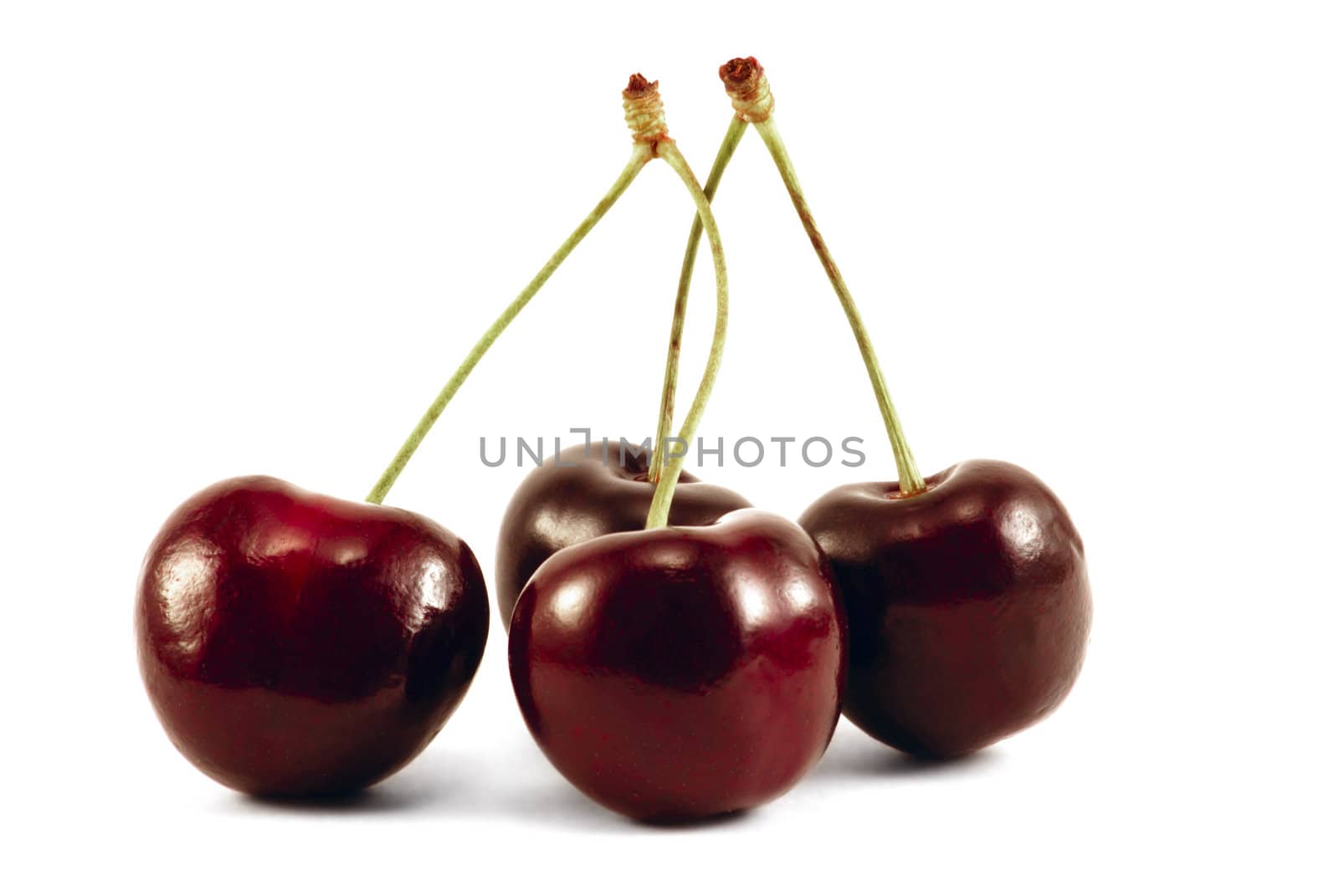 Four sweet cherries are photographed on a white background