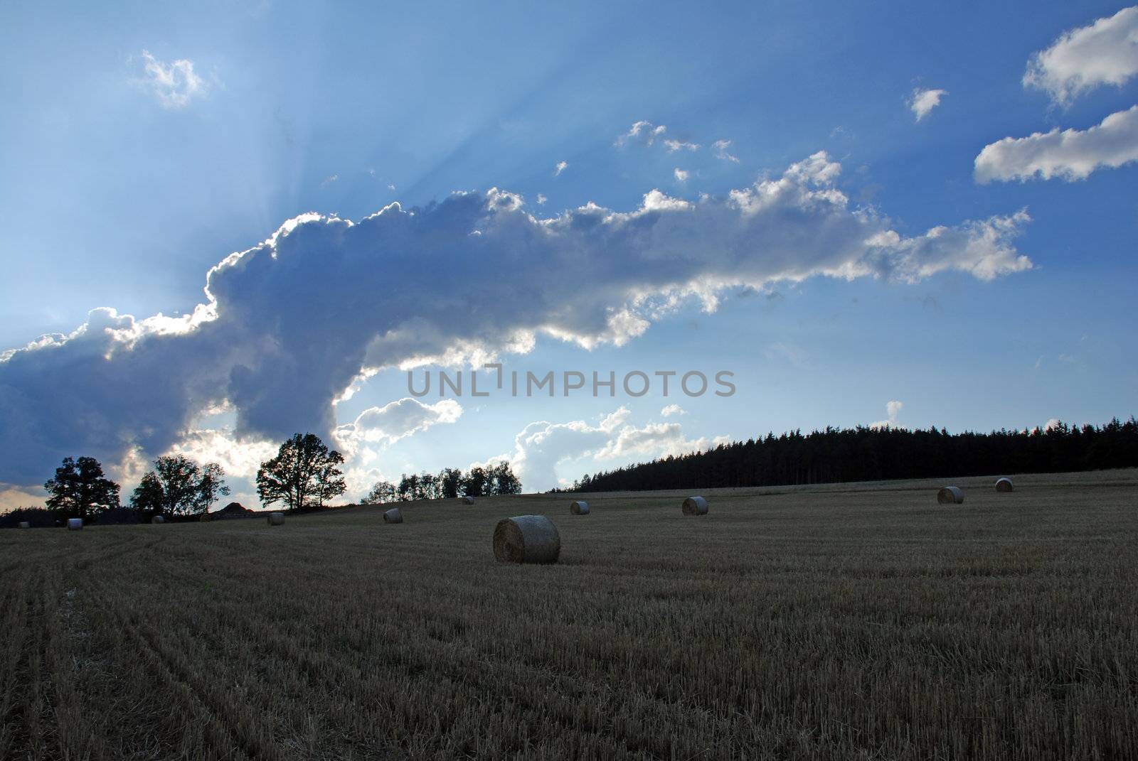 Field with straw rolls and dramatic sky