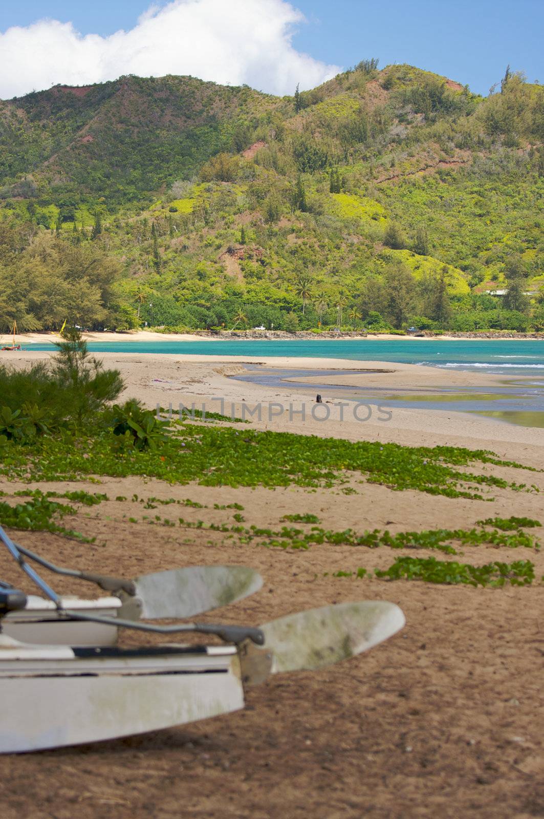 Tranquil Bay Scene in the Early Morning with Catamaran.