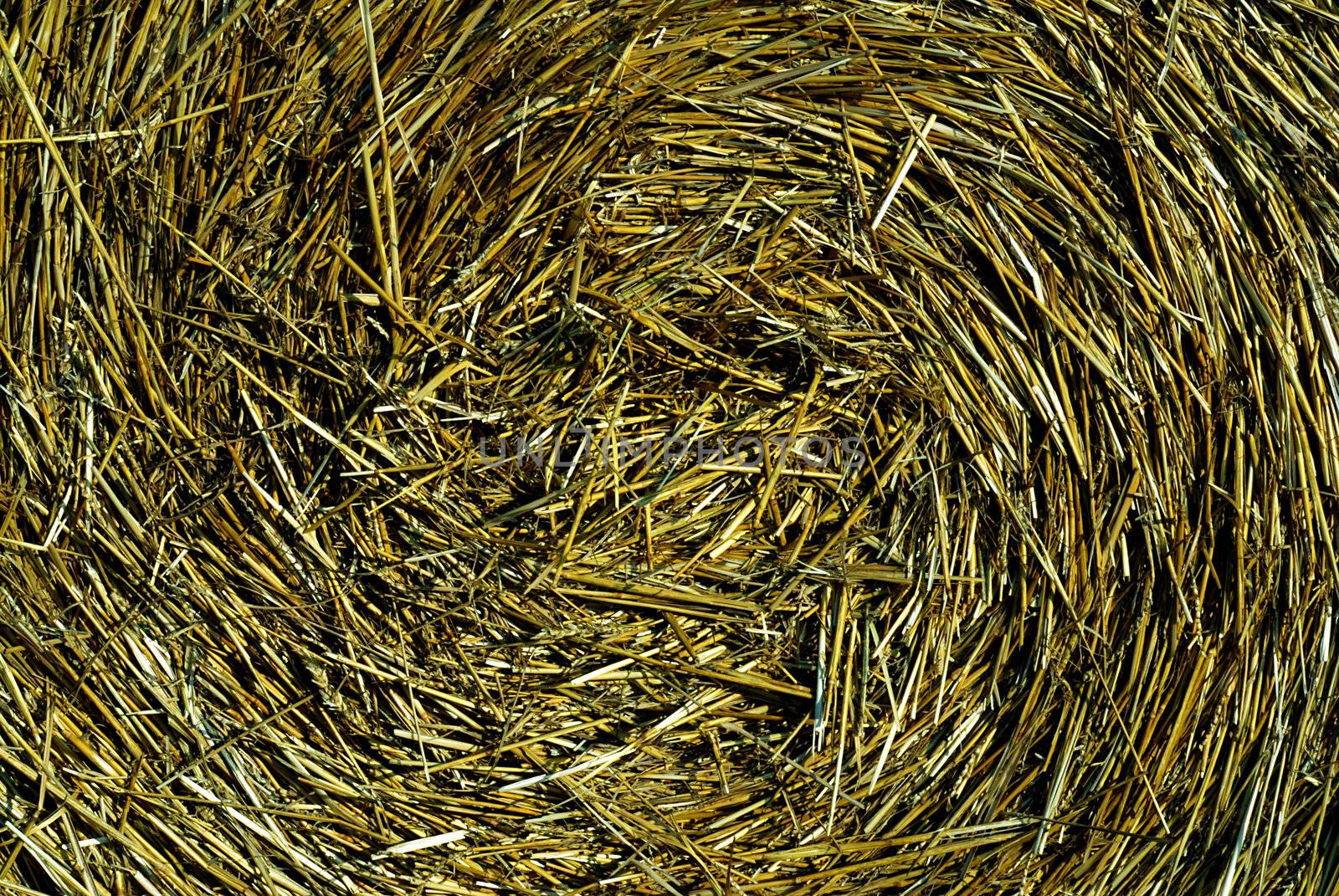 Detail of a straw roll