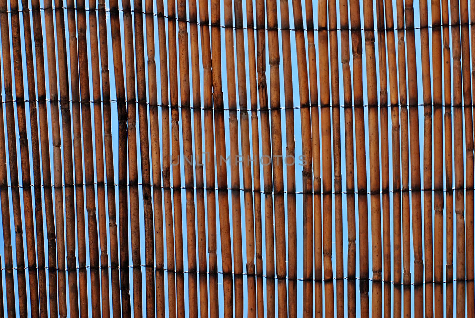 bamboo mat against a blue sky by fyletto
