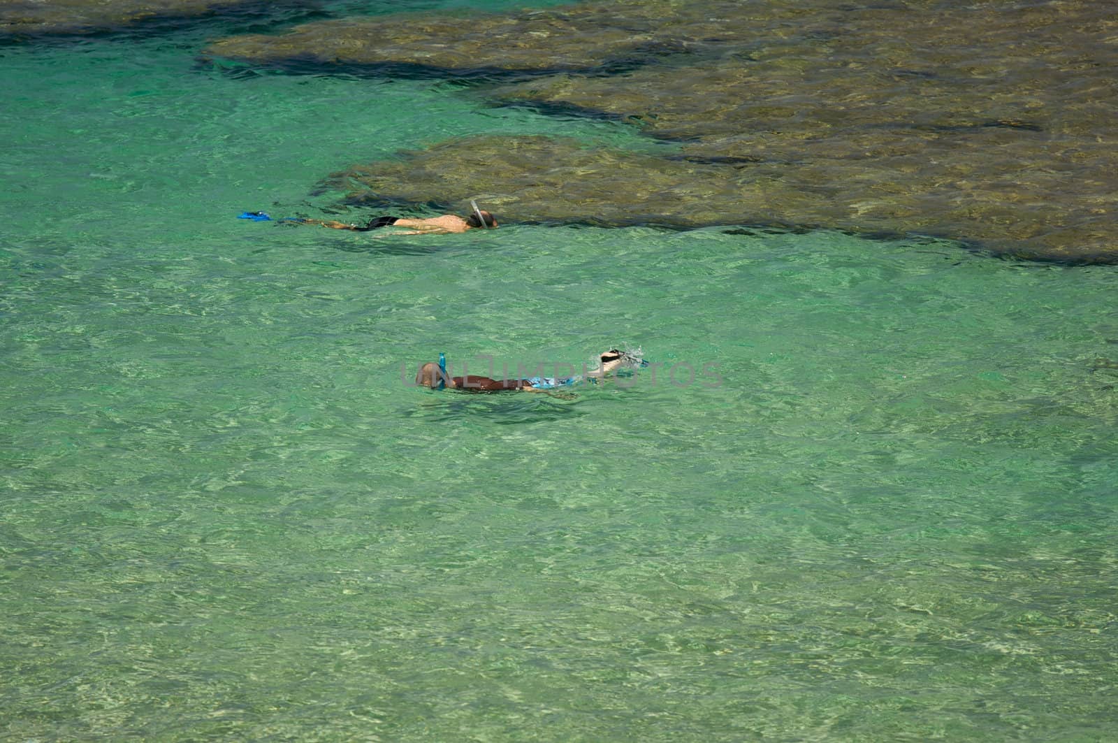 Snorkelers in the Clear Tropical Waters on a Relaxing Summer Day