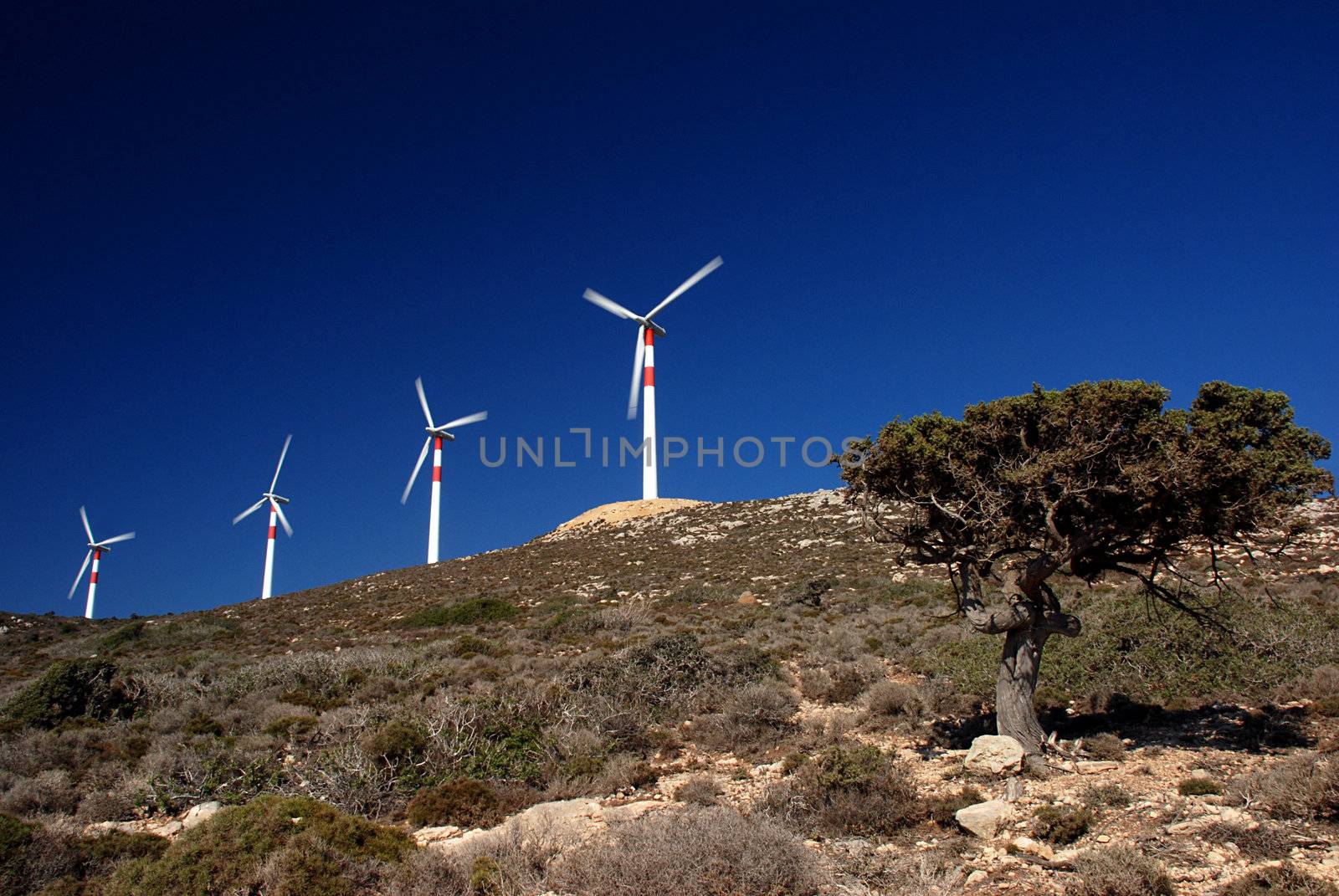 Wind turbines in movement by fyletto