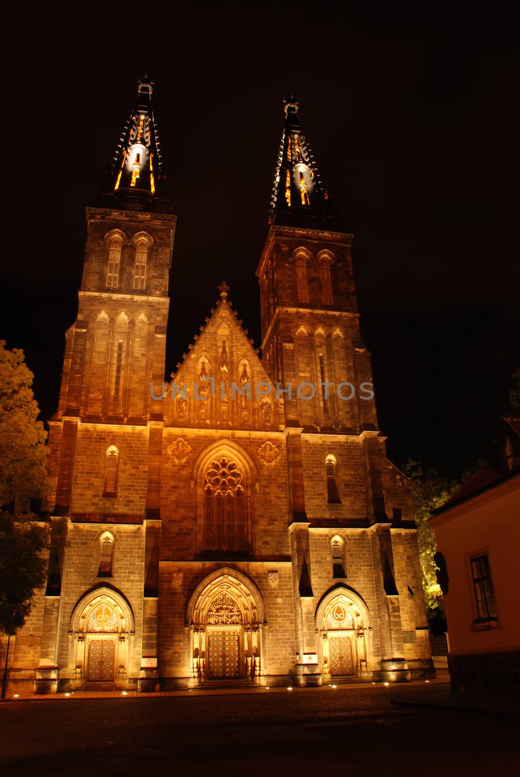 Cathedral in Prague in the night by fyletto