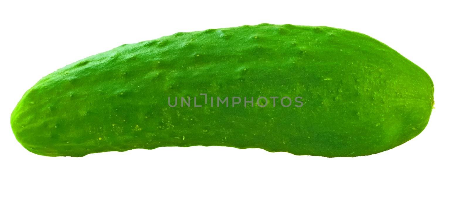 fresh cucumbers on a white background