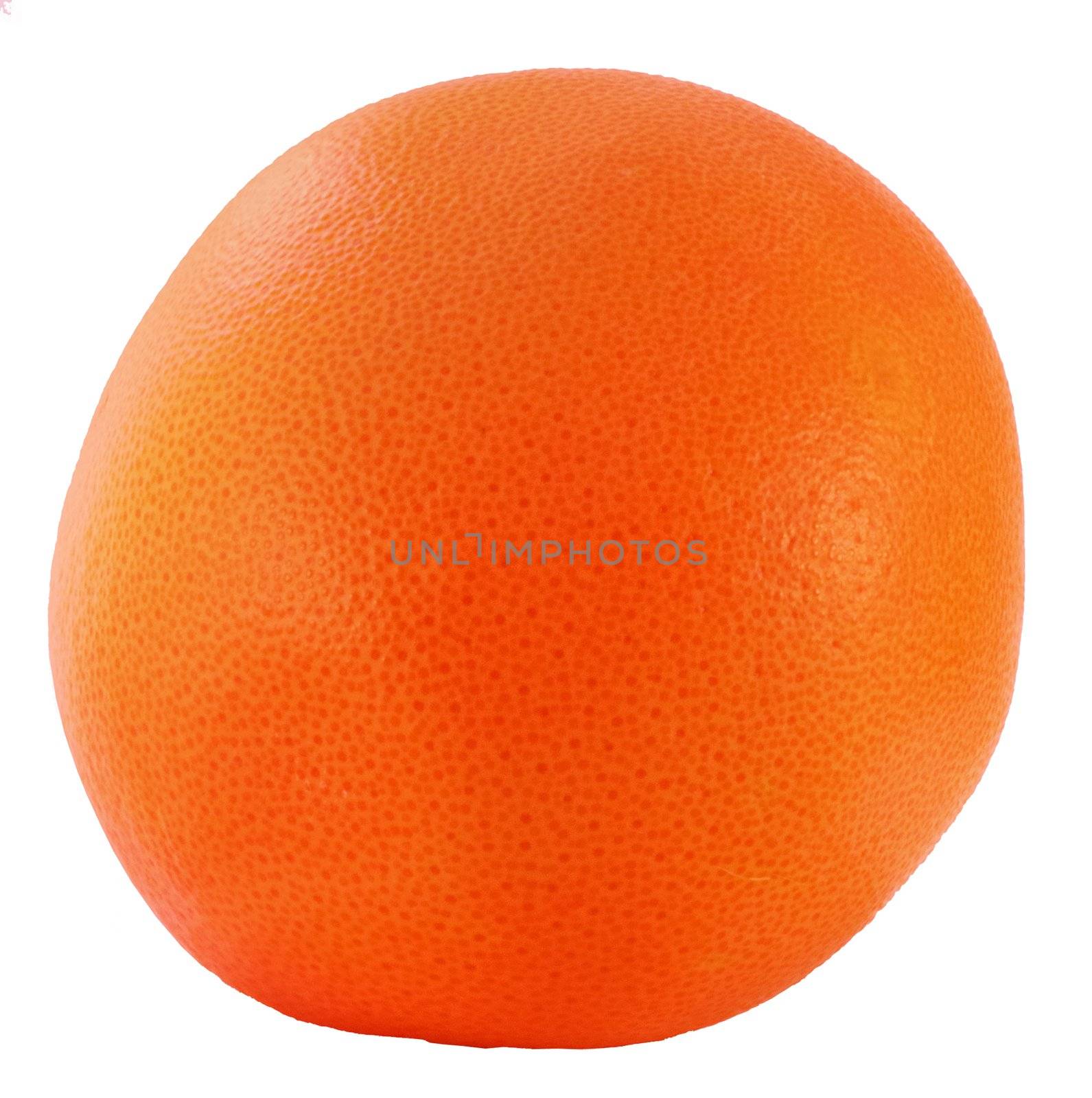 fresh grapefruit on a white background