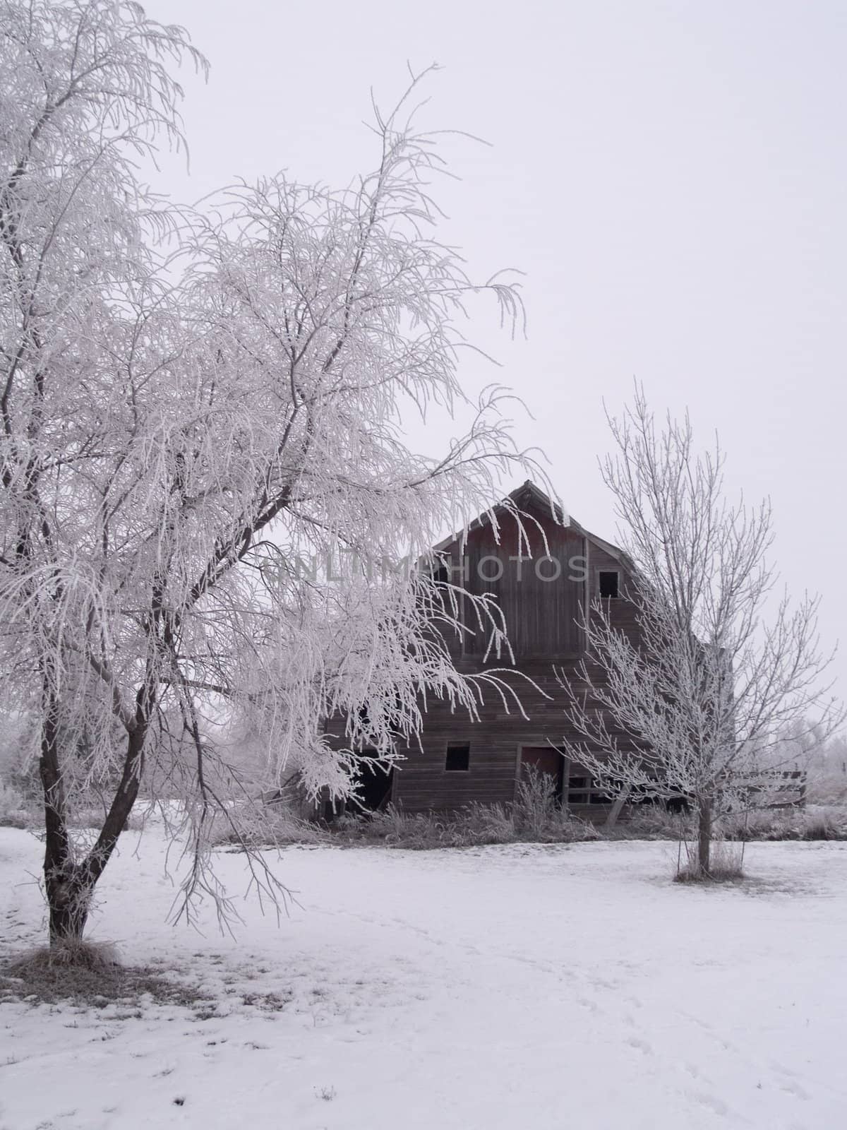 Winter Farm by CalamityJohn