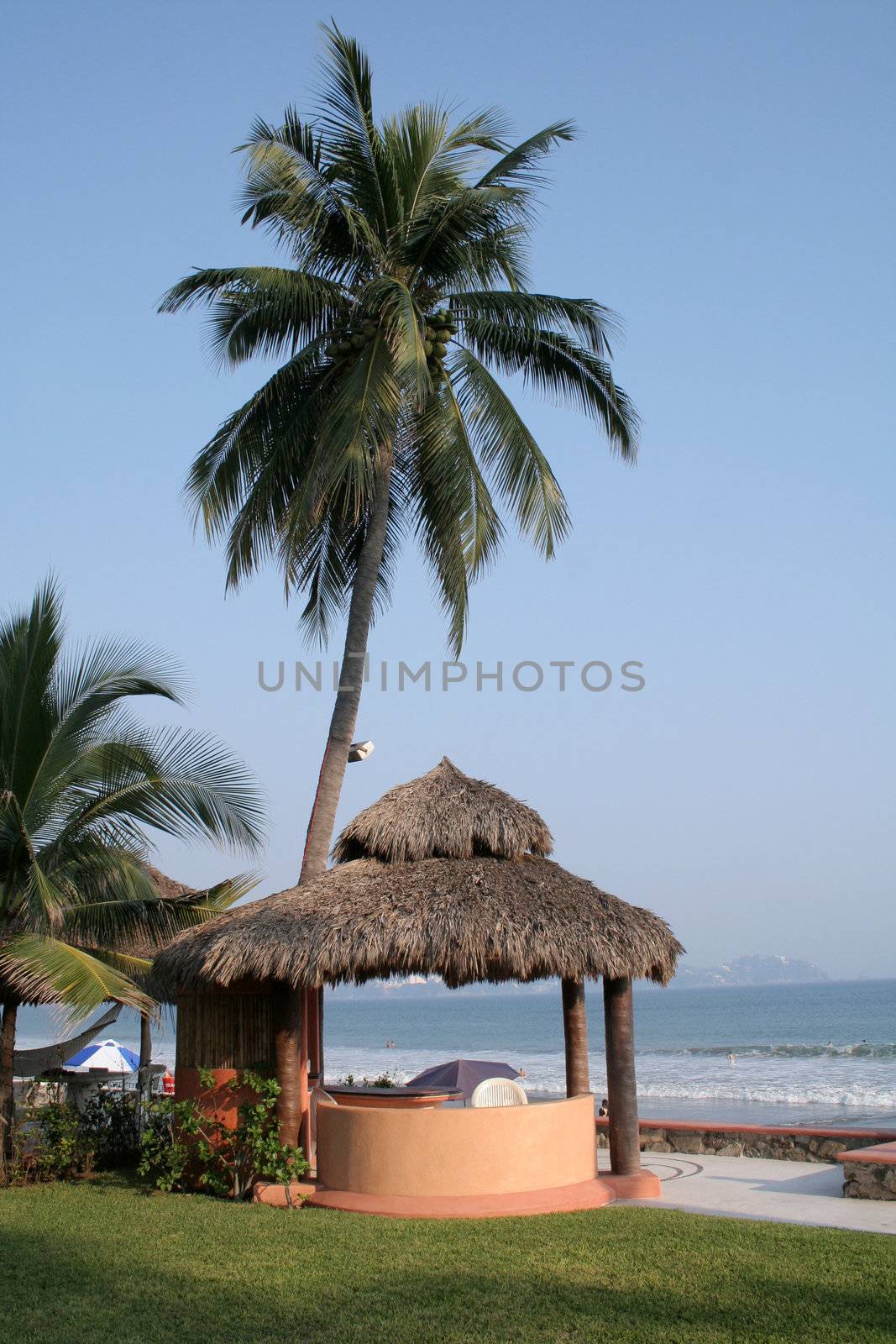 cabana under palm tree over looking ocean