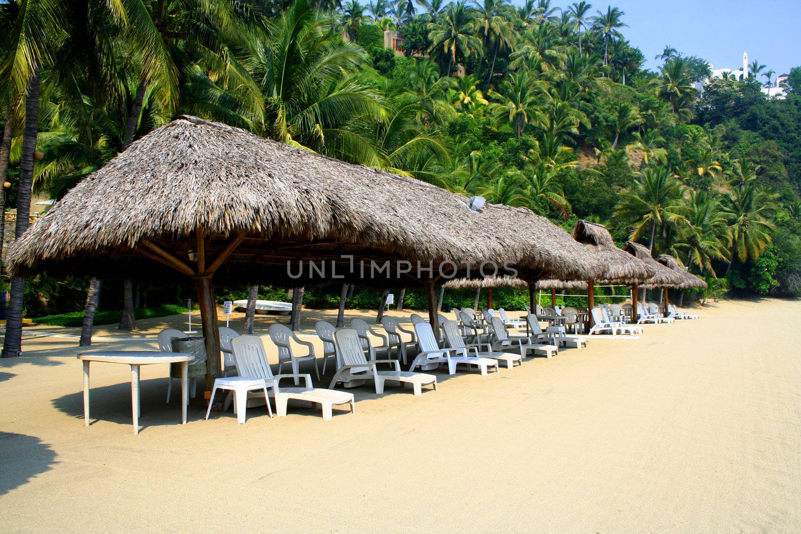 Row of beach cabanas with cairs next to palm trees