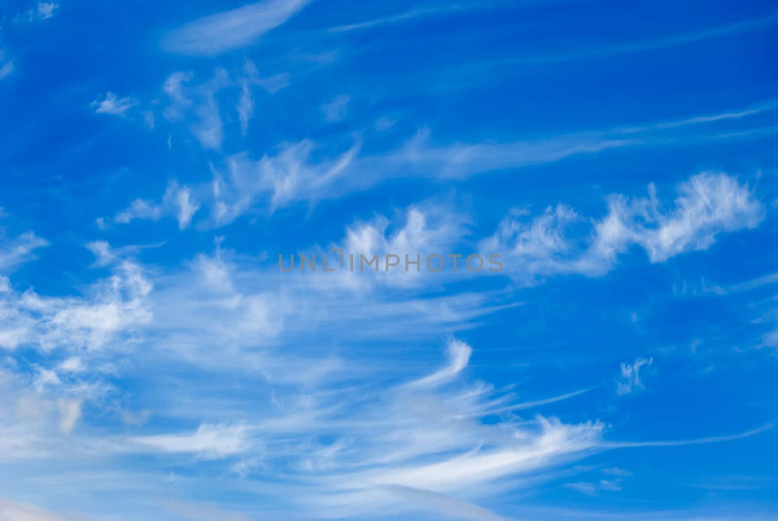 White clouds are photographed on a background of the blue sky