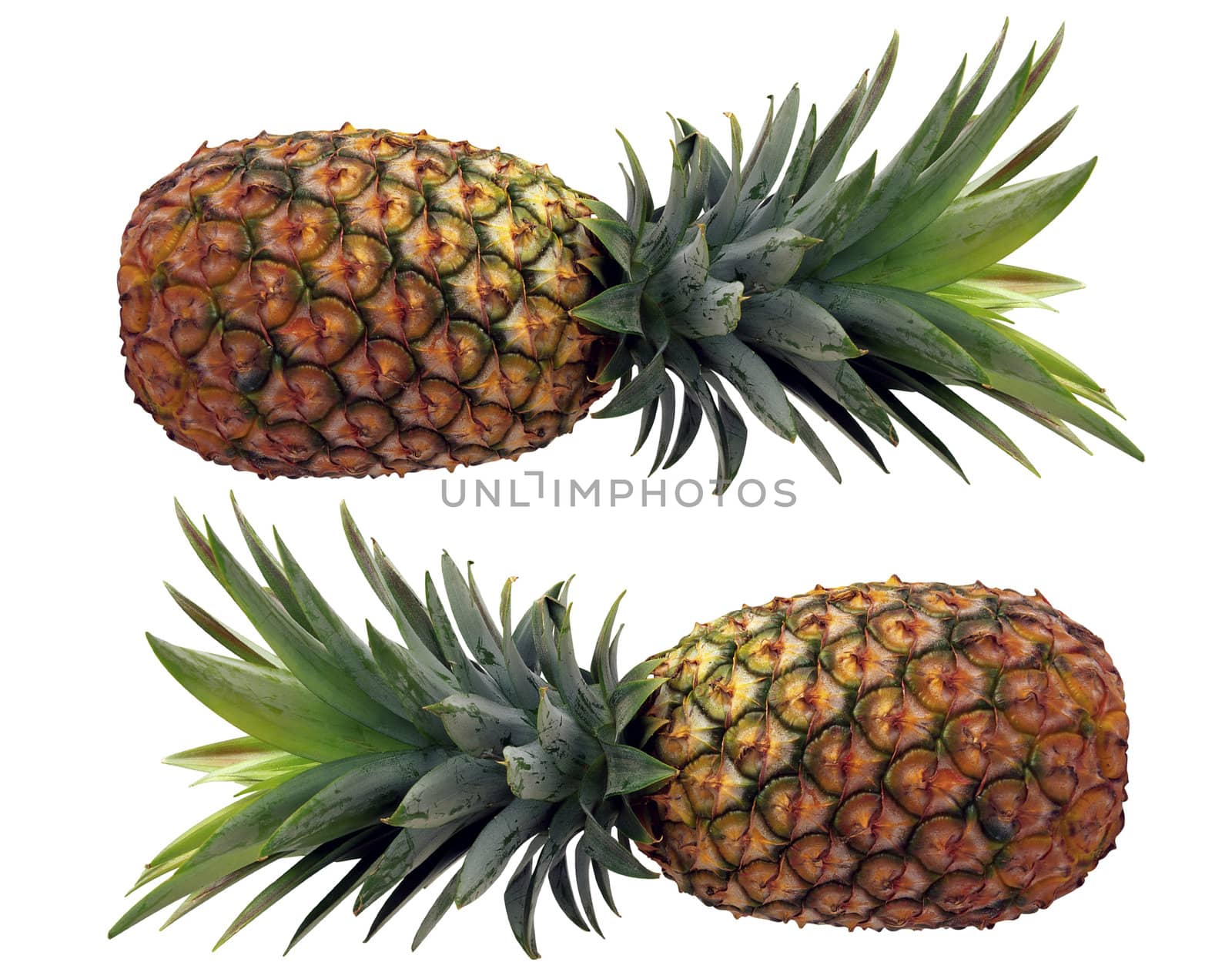 Pineapples by tuku