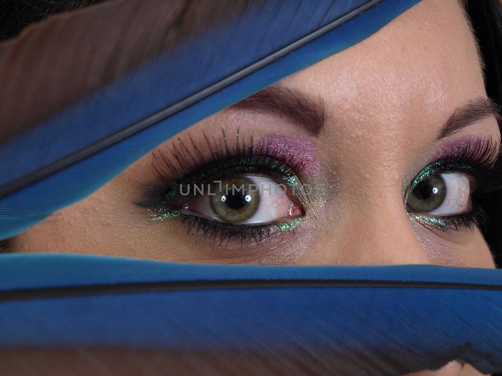 A green pair of woman's eyes peek out between blue feathers.