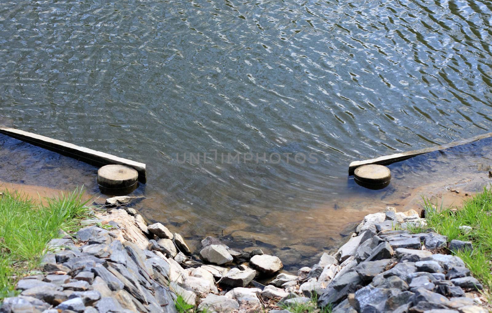 Drain, plums, channel, pond, stones, water, green, grass, log, day, spring