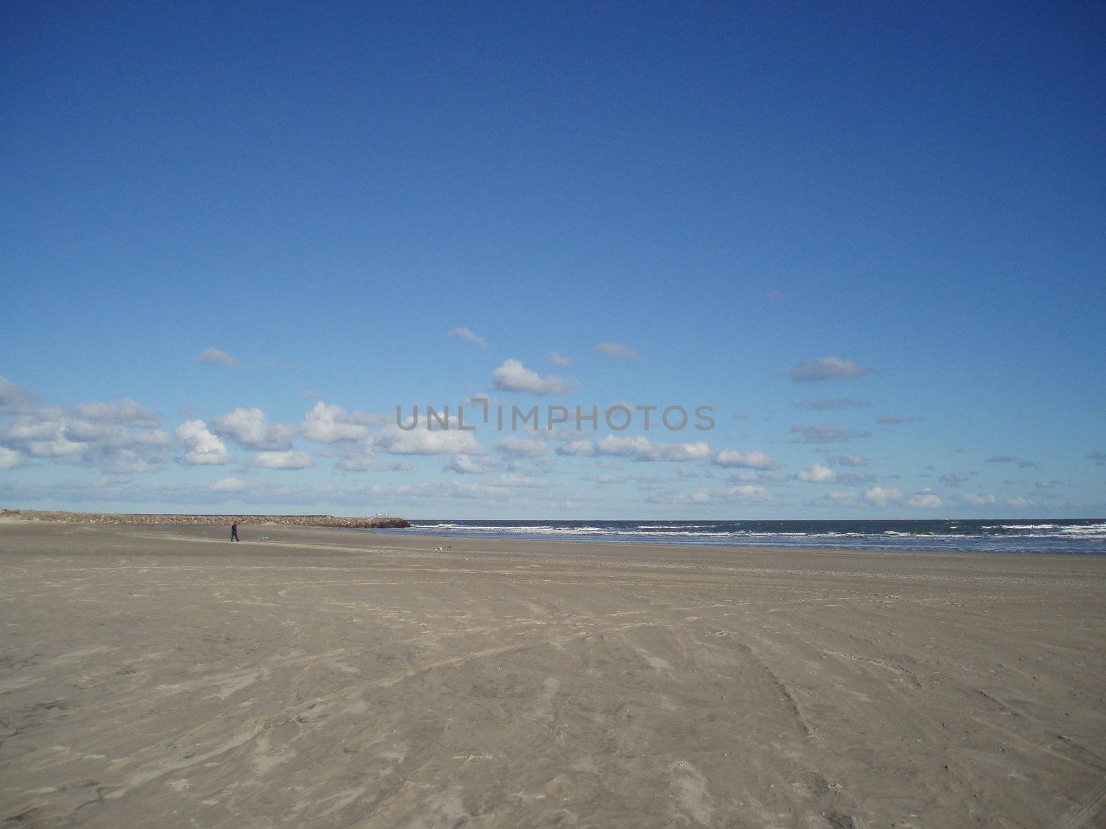 beach landscape