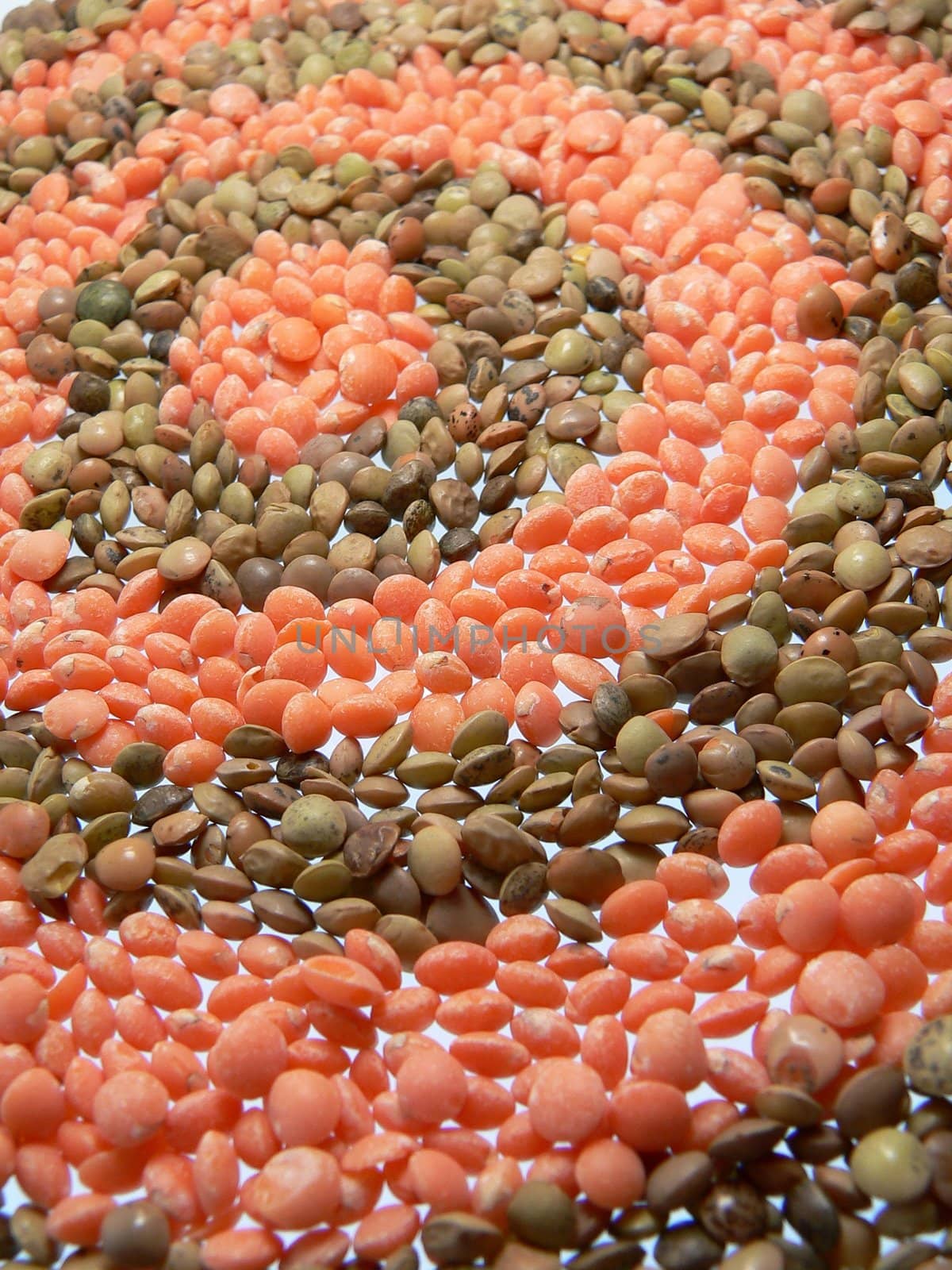 circles of diffenet colors lentils