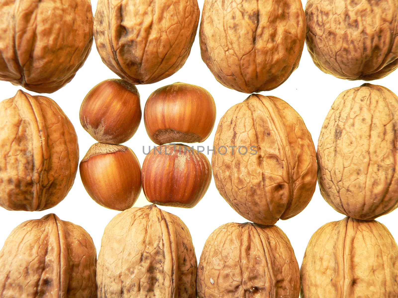 walnuts and hazelnuts on white background