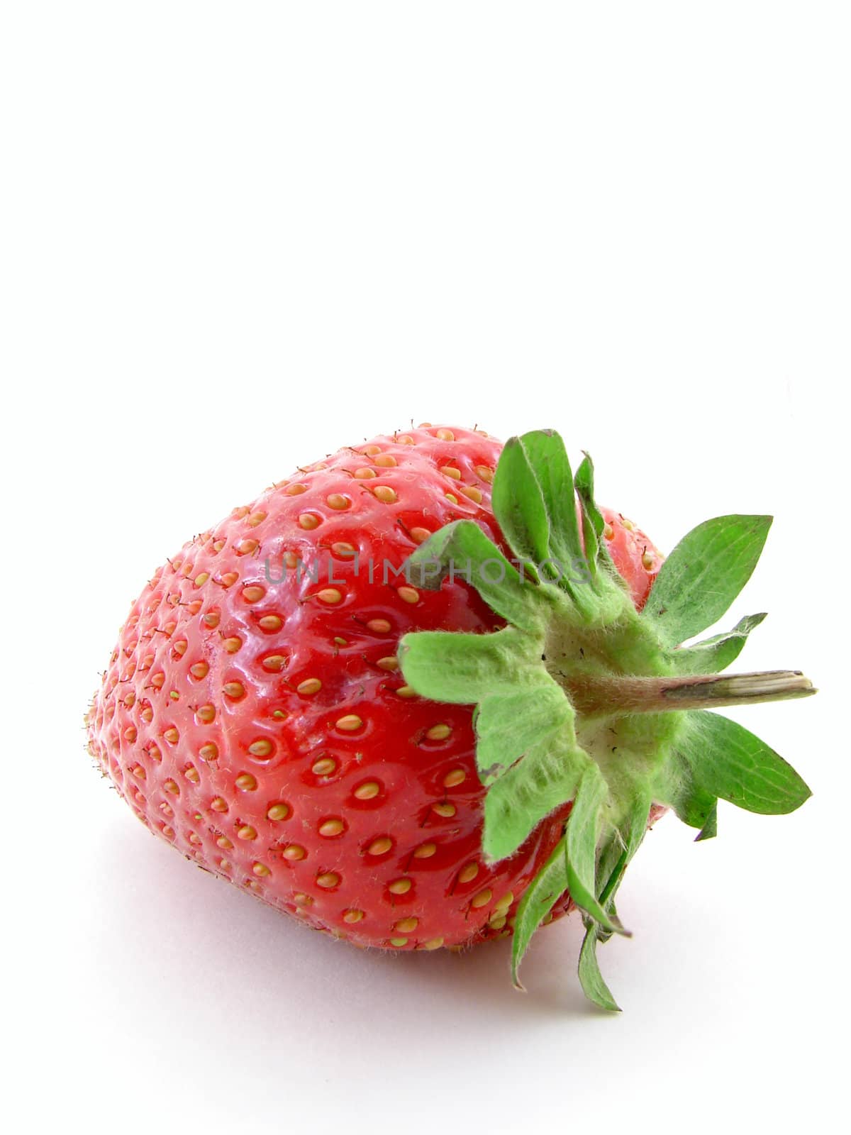 Strawberry by morchella
