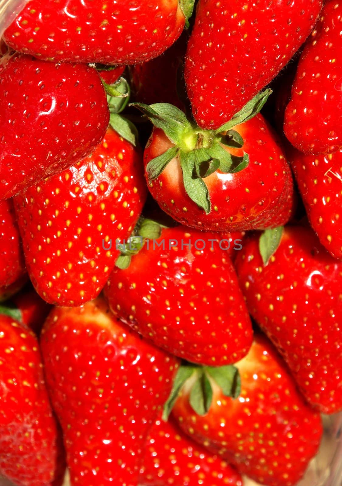 strawberry by FotoFrank
