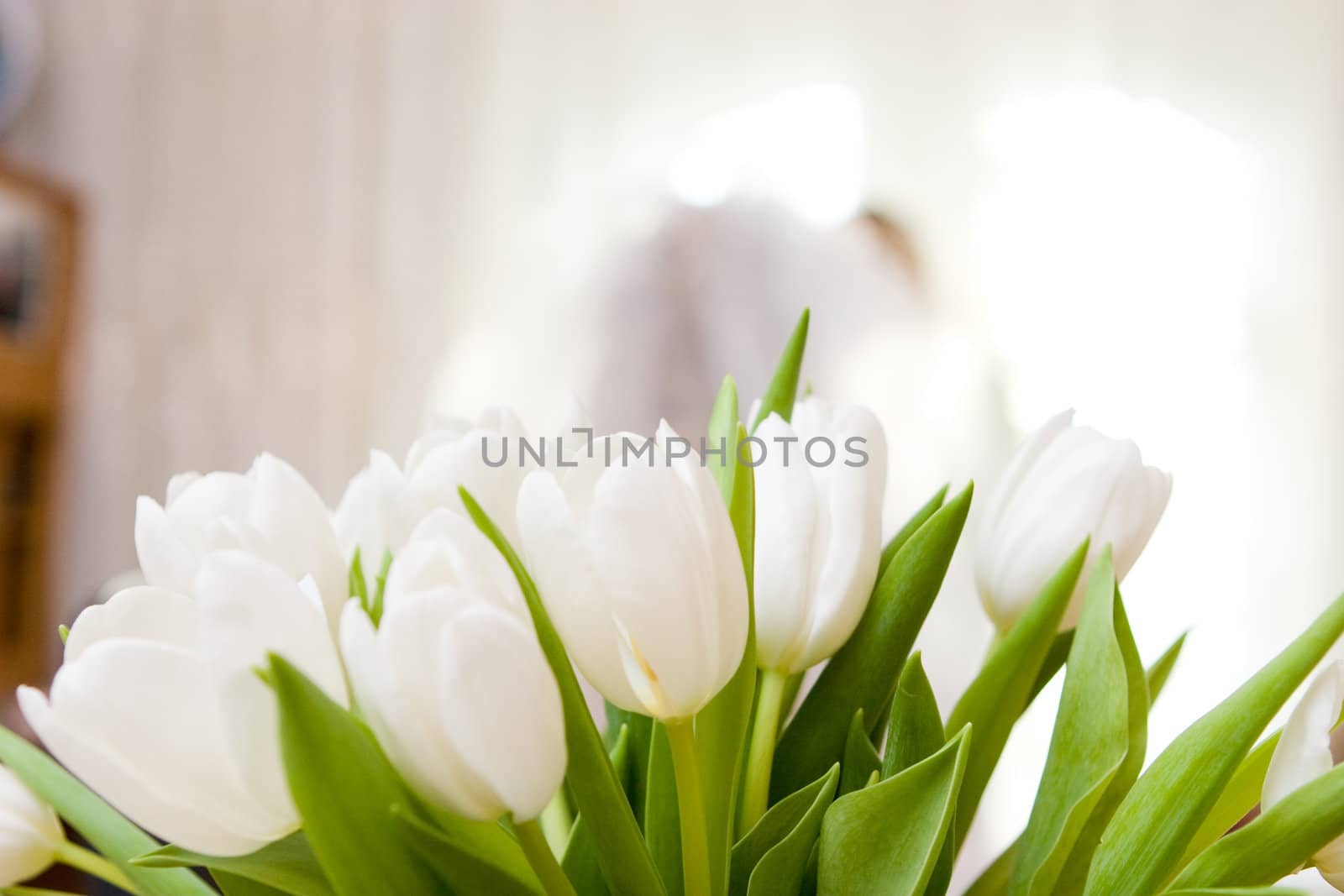 Violet roses and white tulips in a bouquet