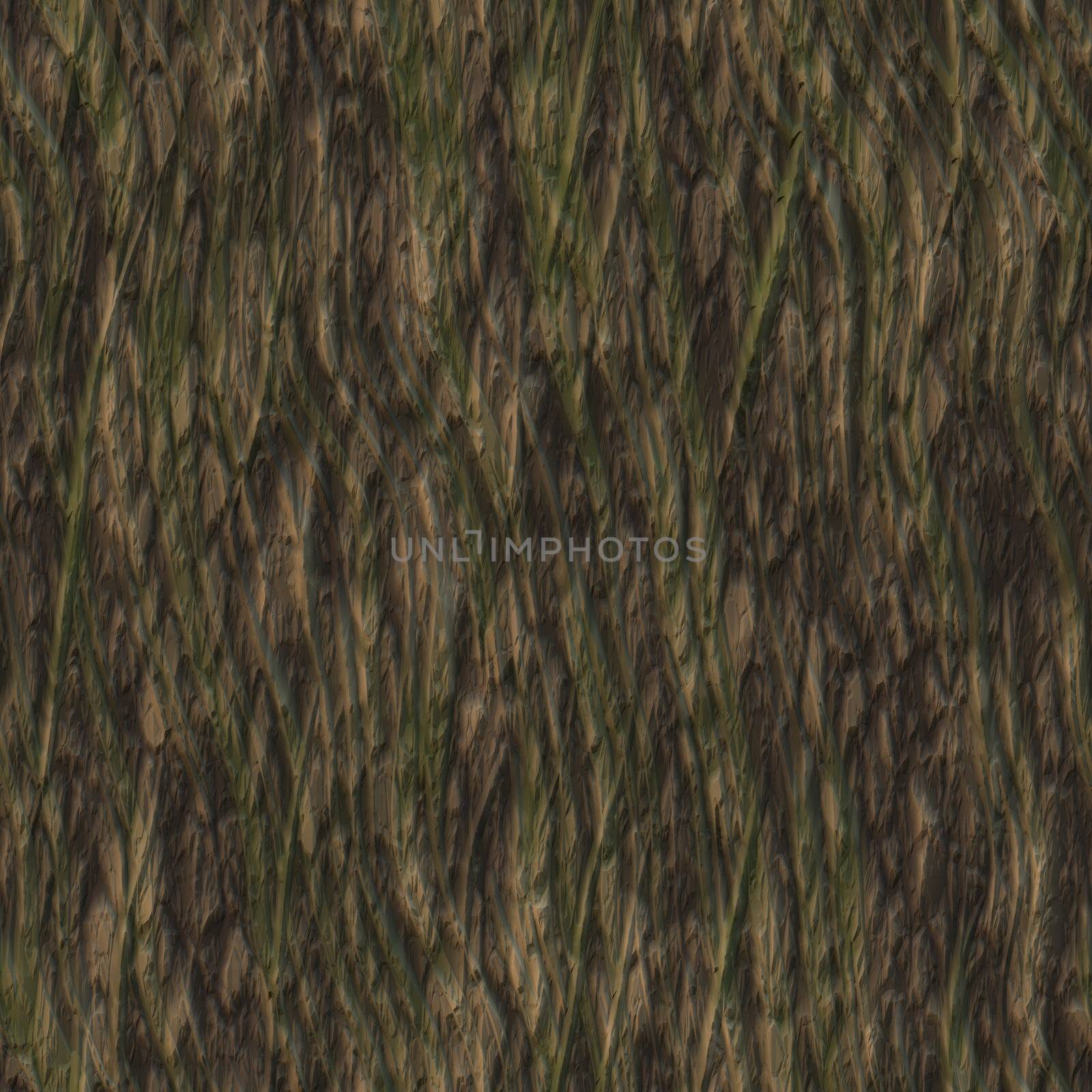 Seamless Tree Bark Wood Texture as Tileable