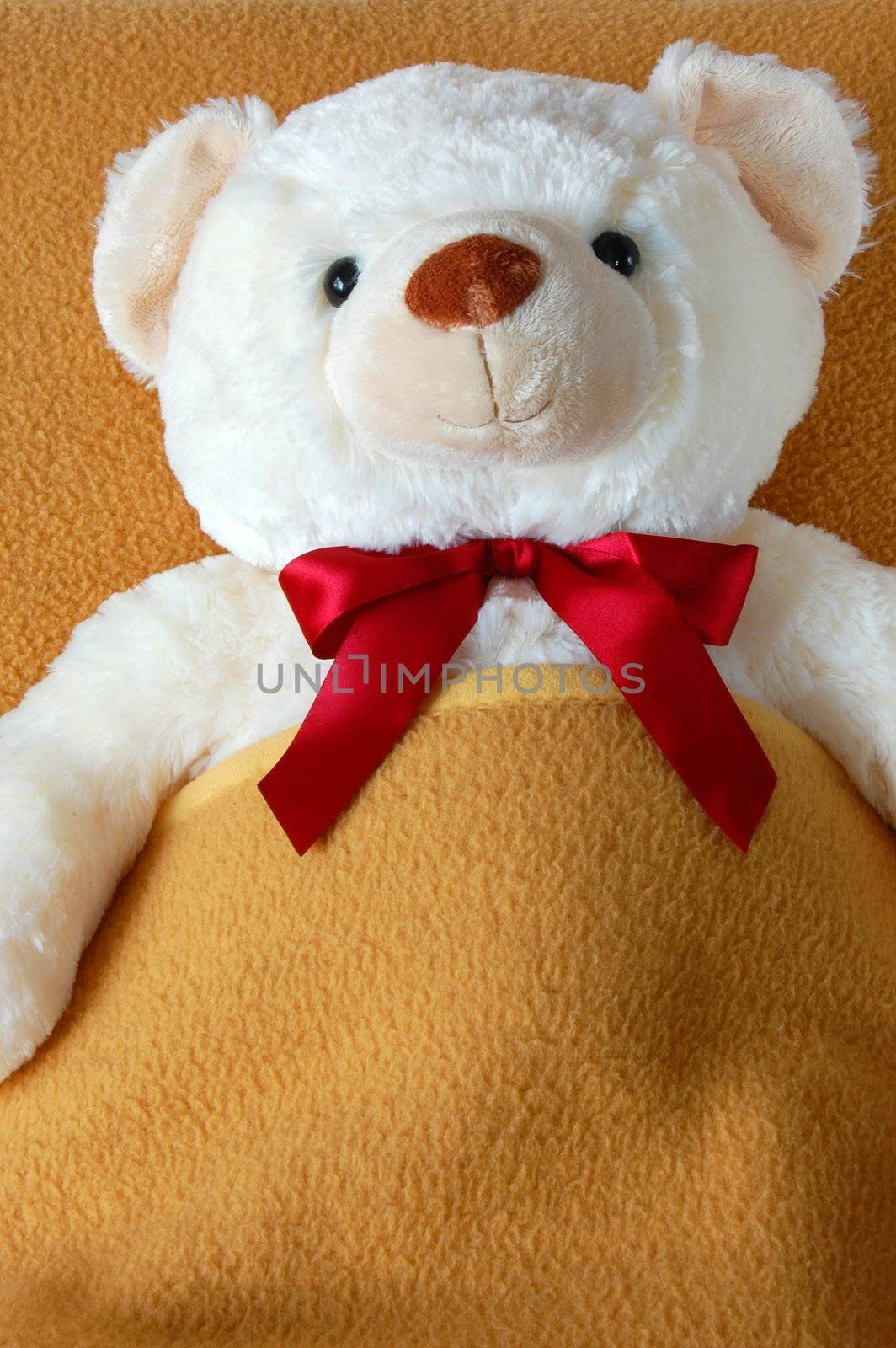 sick teddy bear by gunnar3000
