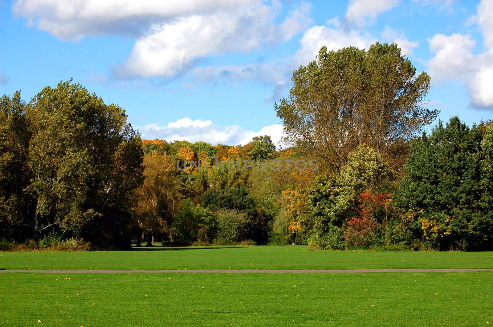 green trees of a park at summer or autumn under blue sky