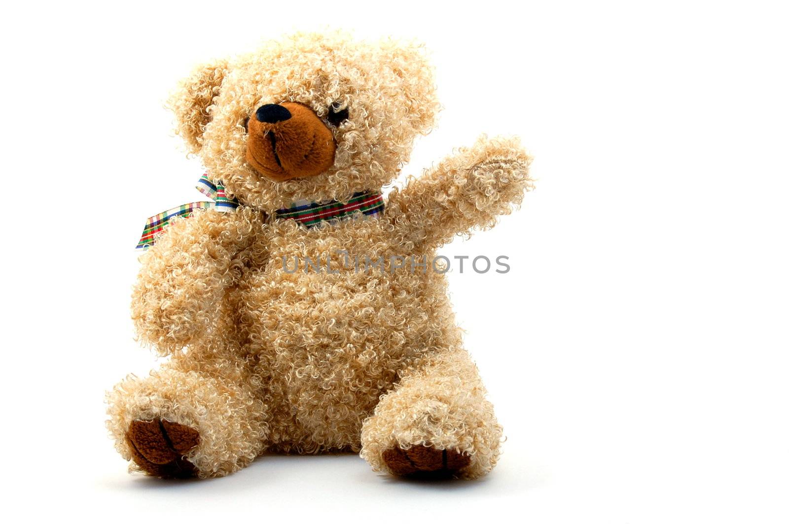 toy teddy bear isolated on white background