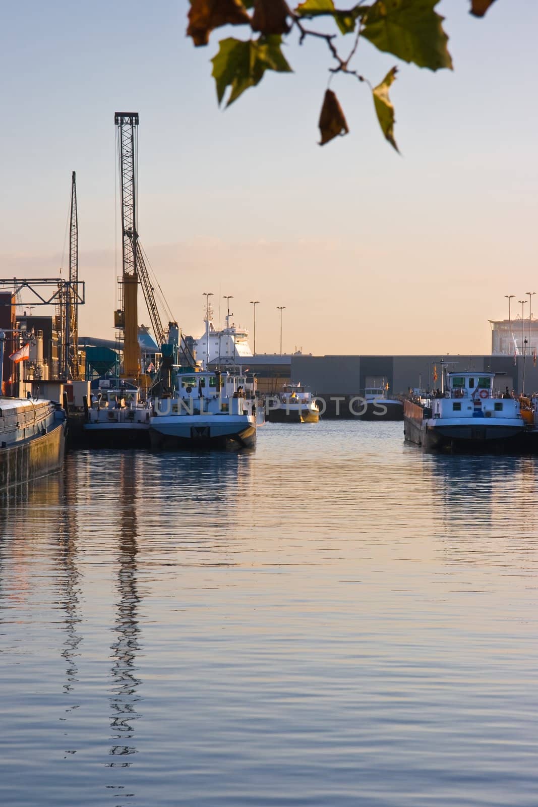 Ships with reflection in harbour at sunrise in fall