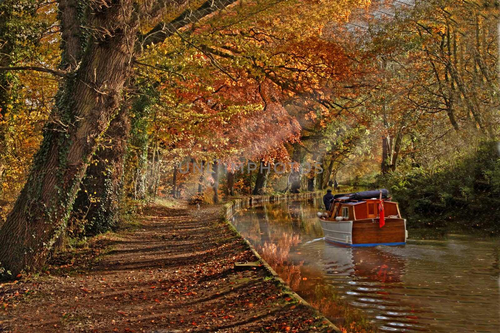 Autumn colour along by the Shropshire Union Canal, England.