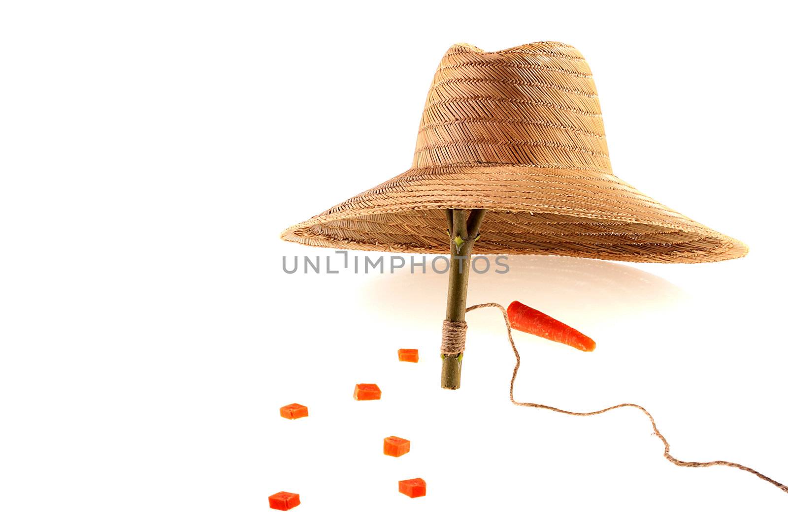 The trap is made of a straw hat, as a bait a carrot.