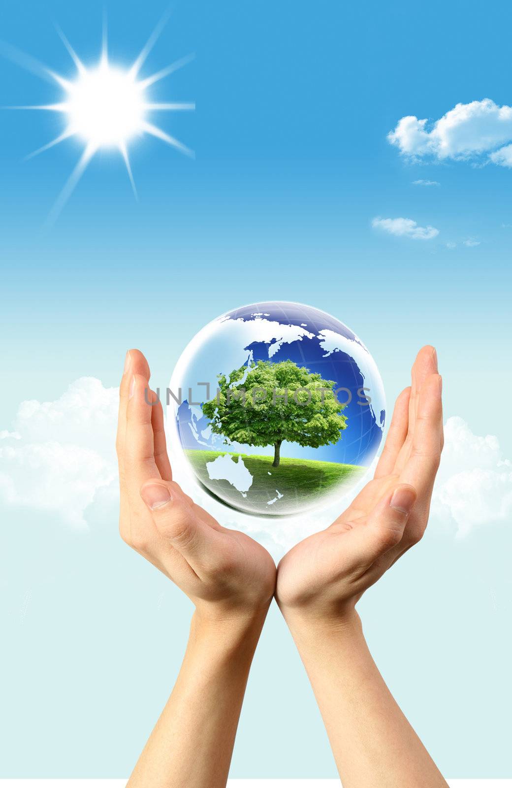 Green tree in Globe which is in hands