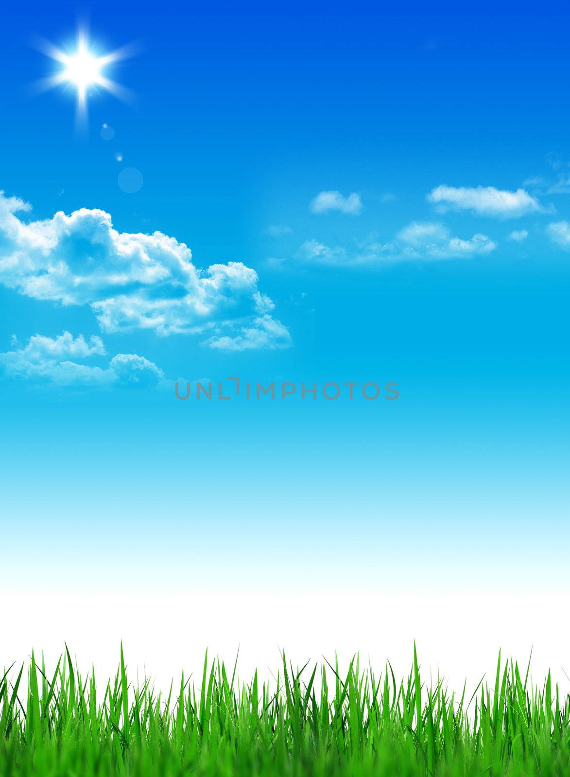 Green grass on the blue sky background