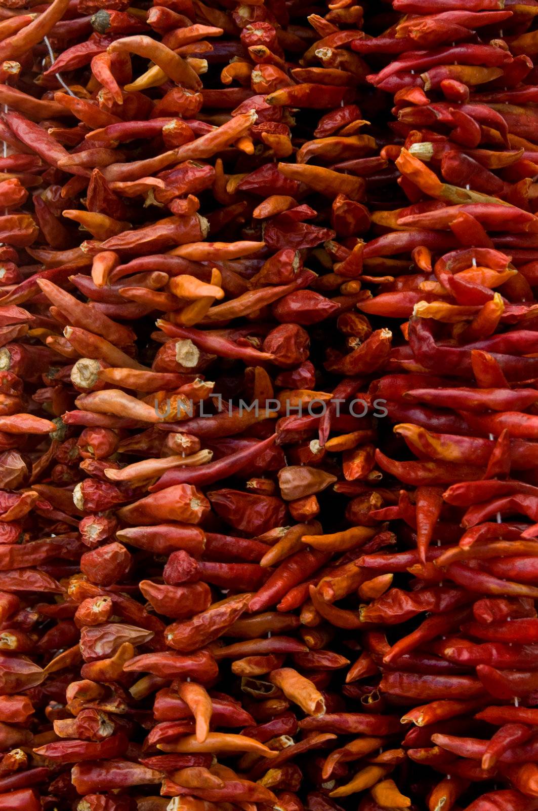 Strings of red Chillies at Turgutreis Market in Bodrum, Turkey