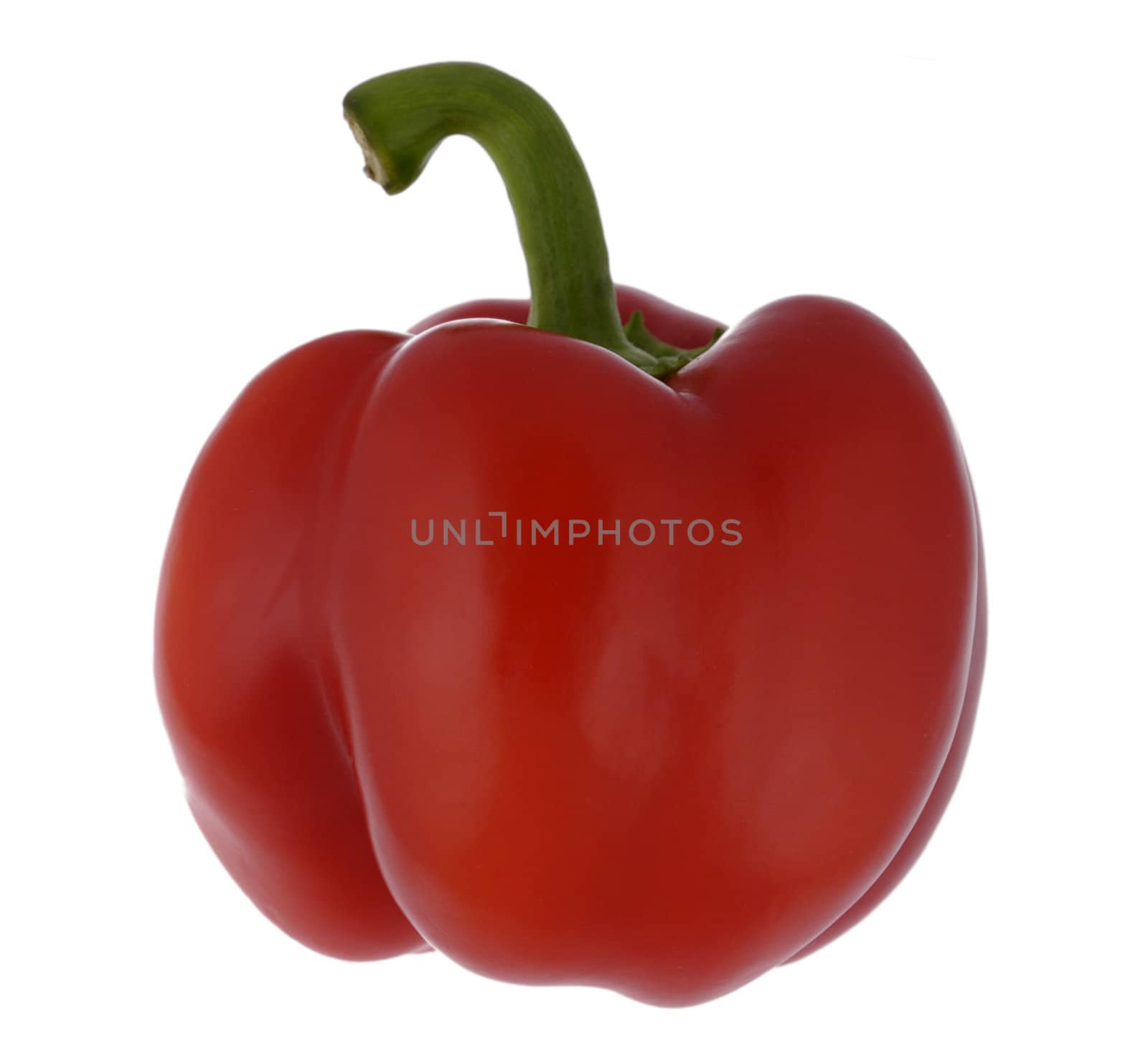 bulgarian pepper isolated on white background