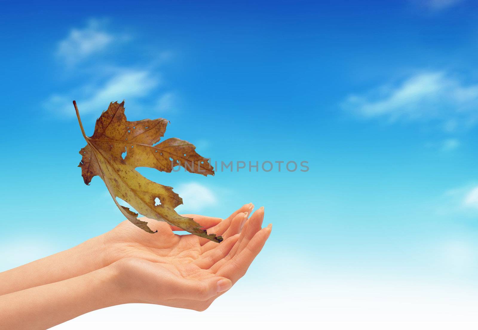 NIce picture with a leaves and hands