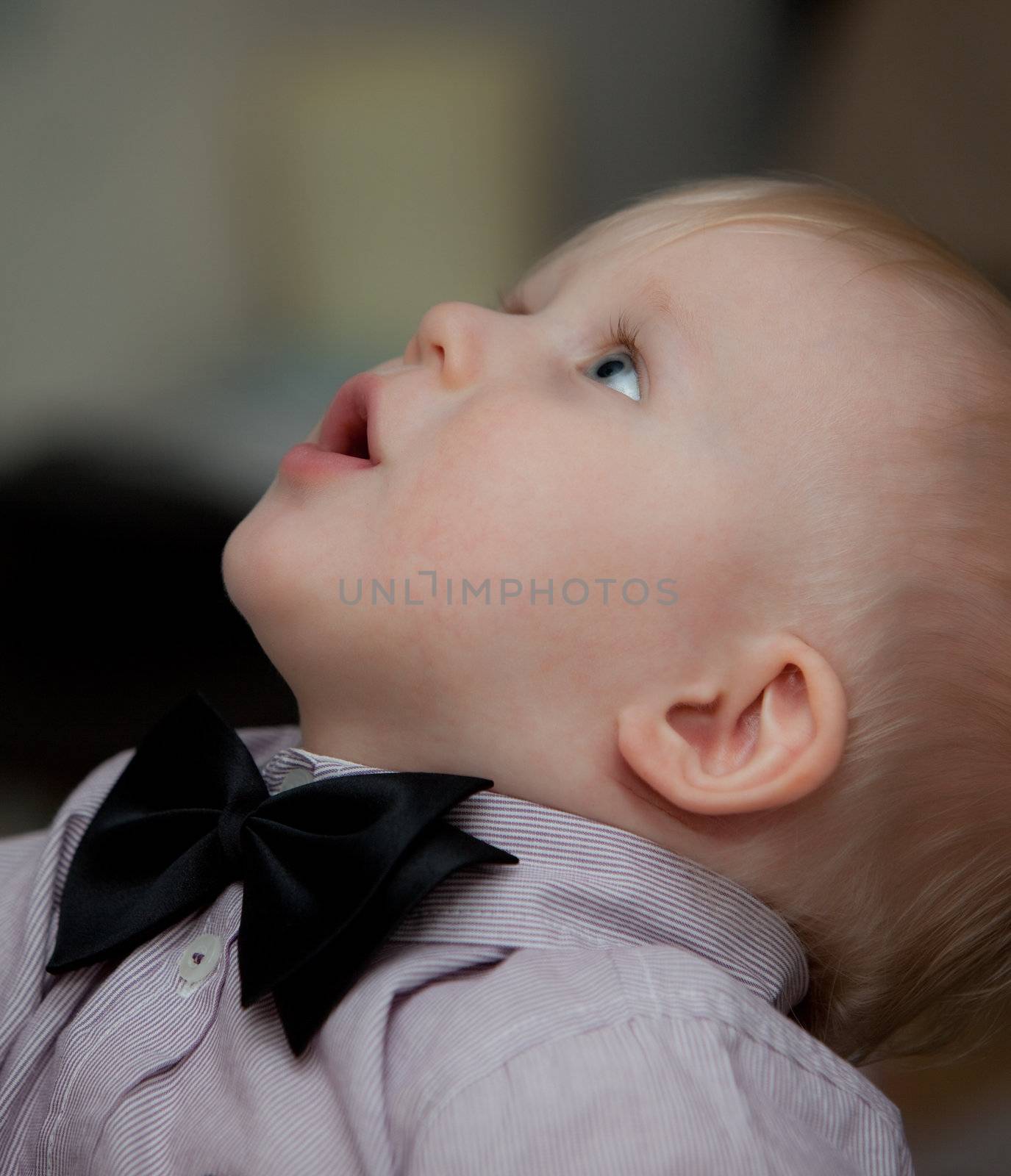 small child with bow tie. little baby