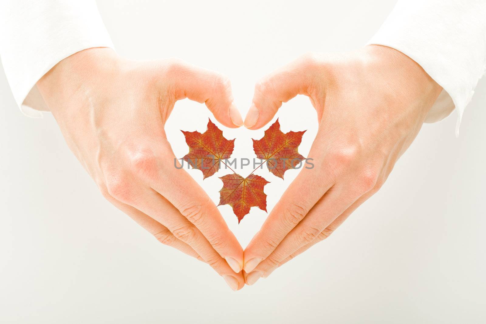 Nice pictures for your autumn design with hands and three leaves