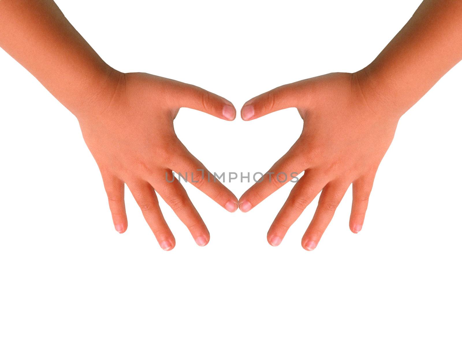 Baby's hands like a small heart on the white background