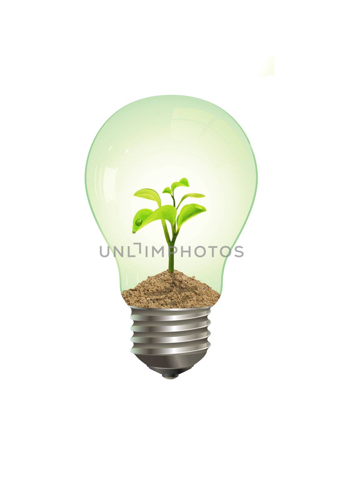 Nice electric lamp with a green plant in it