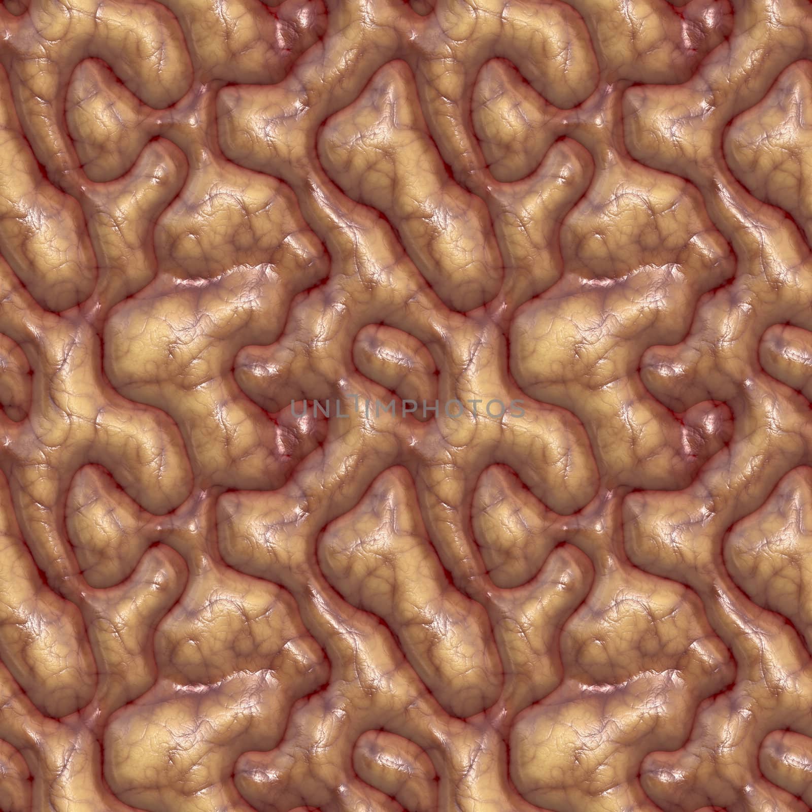 a large rendered illustration of close up brains