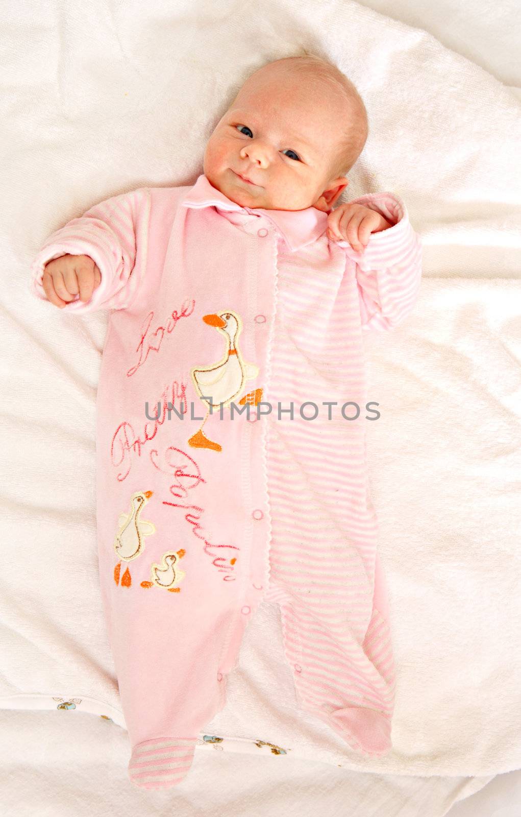 The newborn girl in pink clothes on a white background
